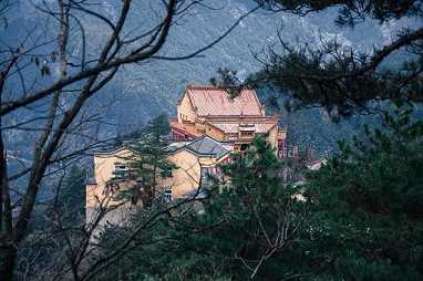 根律仪戒讲解