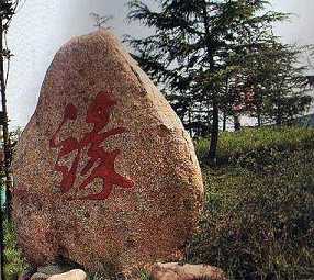 随缘