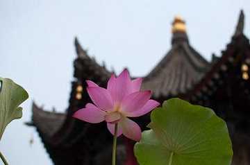 悟道法师：这是洒净最重要的意义