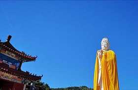 如何理解我执、空执、法执