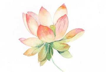 https://m.jingangjcj.com/stuopic/sffm/47306.html