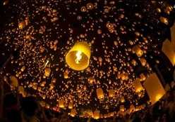 https://m.jingangjcj.com/stuopic/ryllp/47716.html