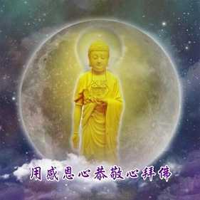 如何礼佛拜佛