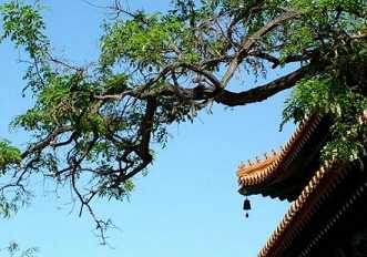 佛门中的共业是什么