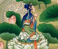 净土宗是什么