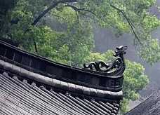 法性和自性的区别