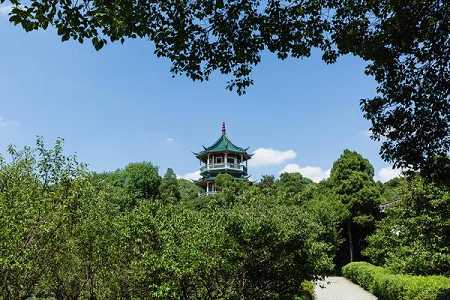 https://m.jingangjcj.com/stuopic/pthdjzz/49207.html