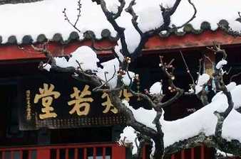 证须陀洹果有多难？