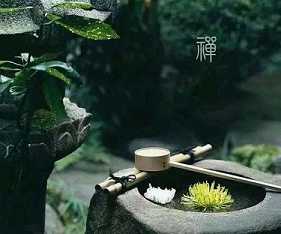 须陀洹果的果位