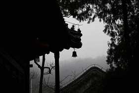 须陀洹果的果位