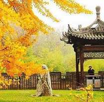 佛教三论宗的发源地