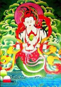 龙树菩萨的由来
