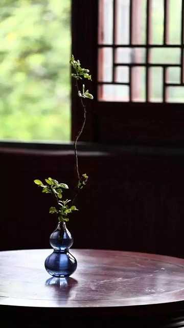 什么是方便法门