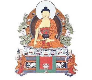 斯陀含果发展