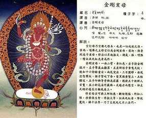 究竟的金刚亥母在哪裡呢?