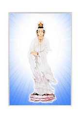 https://m.jingangjcj.com/stuopic/vbcygy/49058.html
