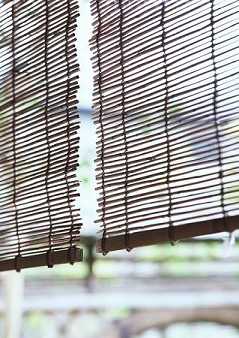 一阐提的意思