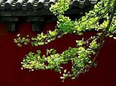 何为法身、报身、化身