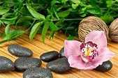 https://m.jingangjcj.com/stuopic/jhnzc/49833.html