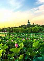 https://m.jingangjcj.com/stuopic/rsesfa/50270.html