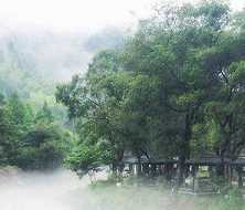 耶输陀罗王妃往世因缘
