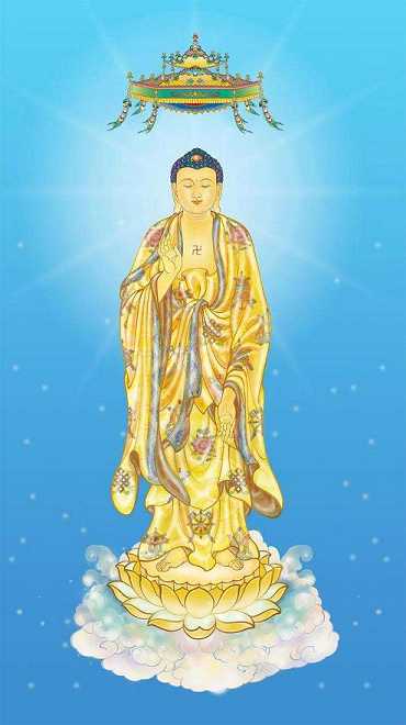 弥陀净土是菩提心吗