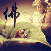 https://m.jingangjcj.com/stuopic/qcvshi/52112.html