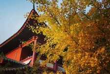https://m.jingangjcj.com/stuopic/tfojqk/53924.html