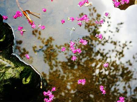 虚空藏菩萨咒是什么意思？虚空藏菩萨咒的由来