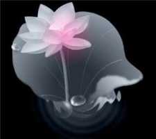 命终关怀(问答)