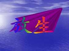 放生三个程序