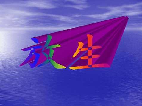 放生三个程序