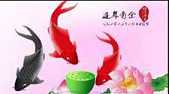 生命都有属于自己的精彩