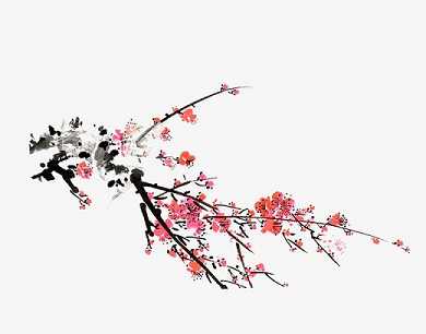 寺院金刚经全文诵读