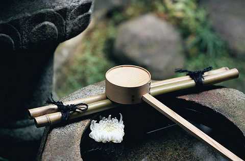 药师经开示