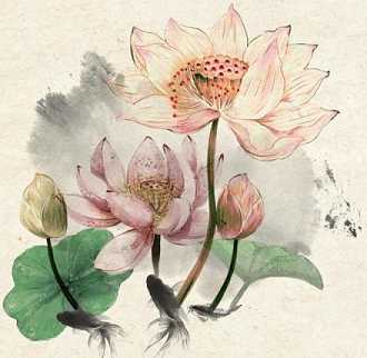 药师经如何给自己回向